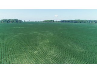 Farmland in Benton & Boone Counties, Indiana - LAND AUCTION - 118.5+/- ACRES IN 3 TRACTS IN BENTON & BOONE COUNTIES, INDIANA